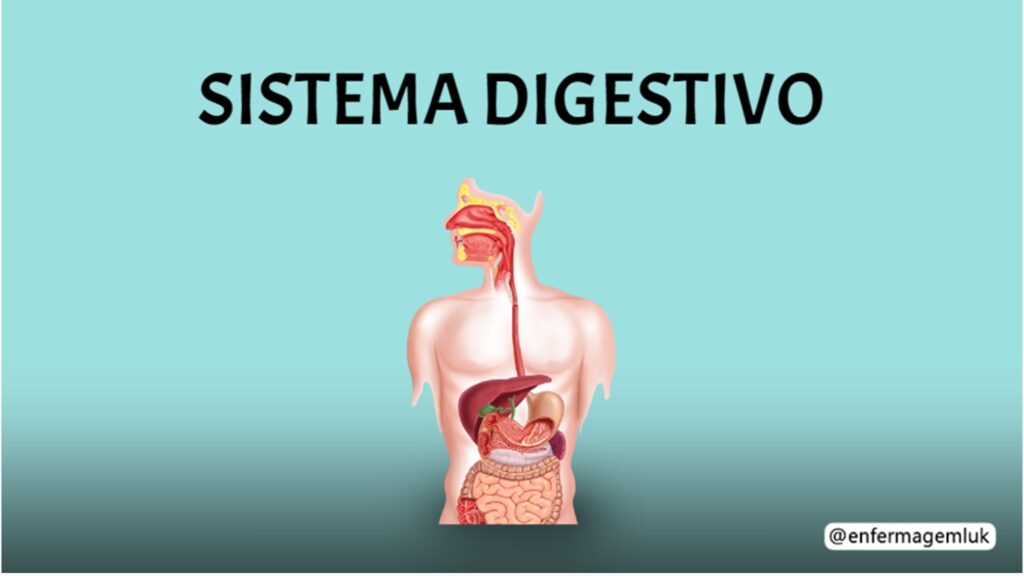 SISTEMA DIGESTIVO PDF