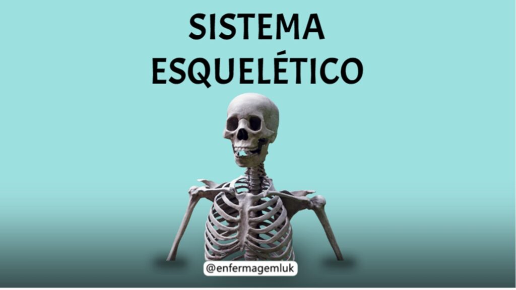 SISTEMA ESQUELÉTICO PDF